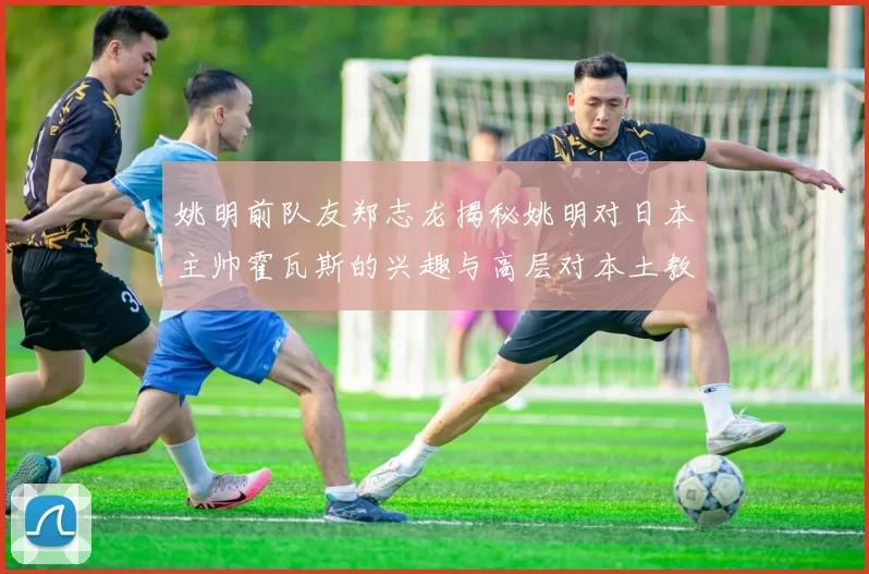 姚明前队友郑志龙揭秘姚明对日本主帅霍瓦斯的兴趣与高层对本土教练的偏好